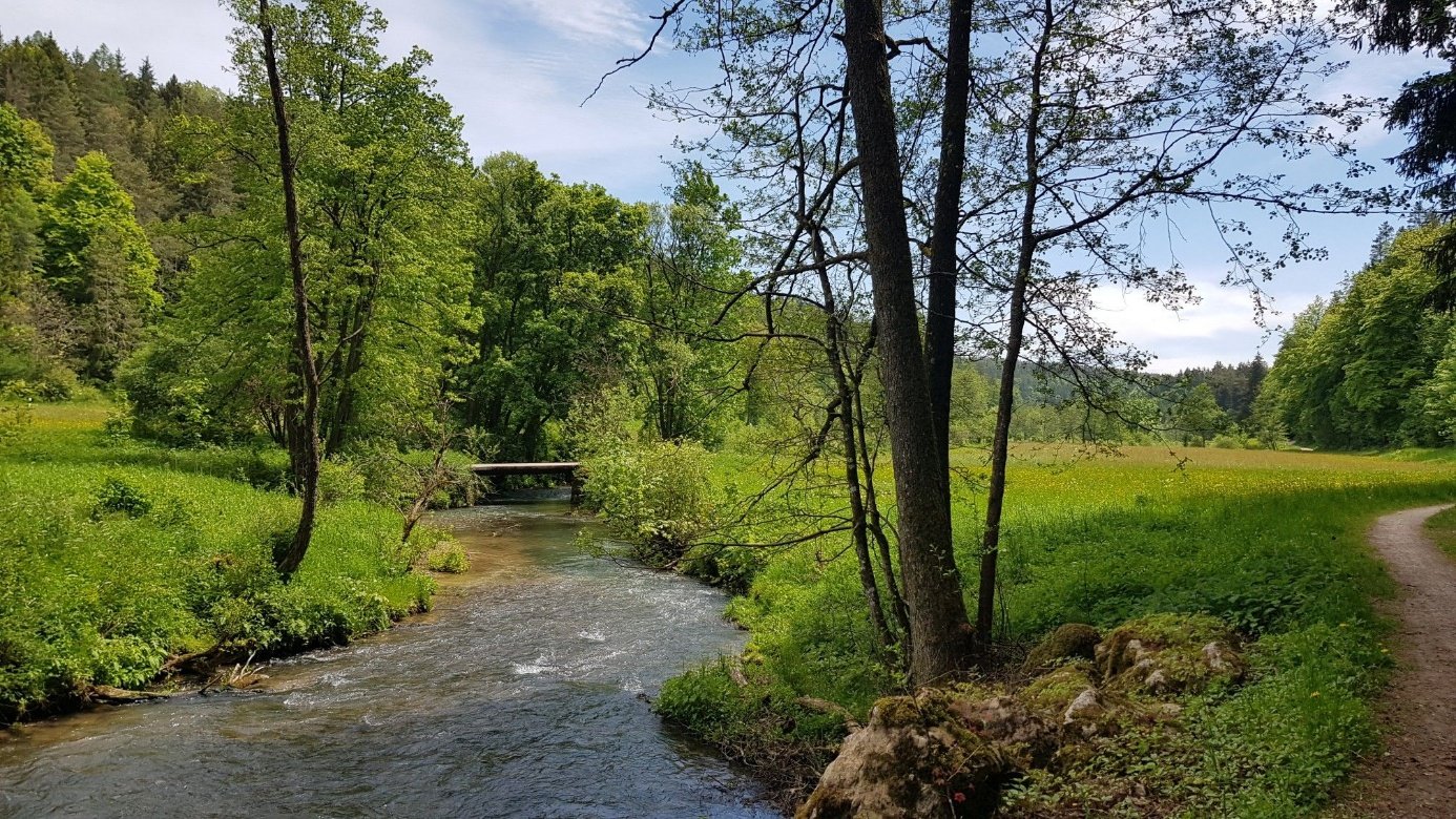 Die Lauterach – klarer Bach mit Wanderweg am Ufer